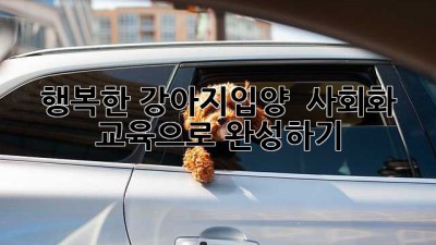 🐶 행복한 #강아지입양 🐾 사회화 교육으로 완성하기! 🏡